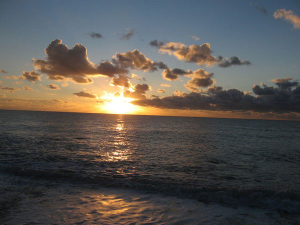 Татьяна Гогонова