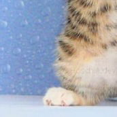 Вера Галиева