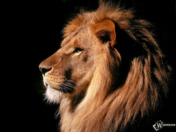 Куттыбек Бралиев