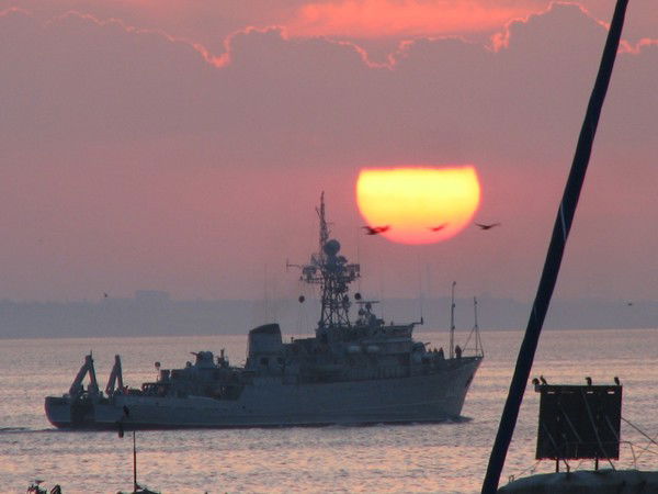 Александр Дмитриев