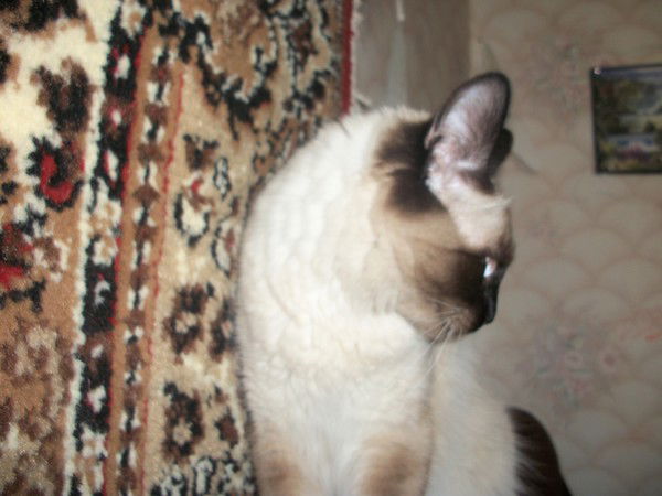 Игорь Литвиненко