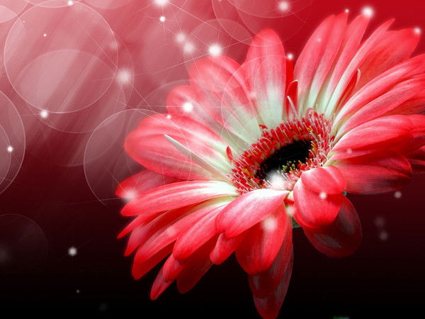 Татьяна Брюханова