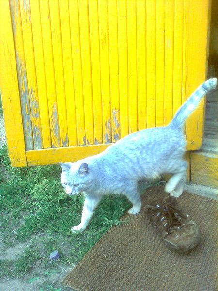 Рустам Сулейманов