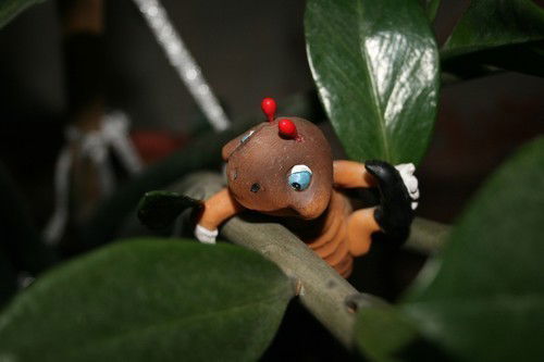 Наталья Шмидт