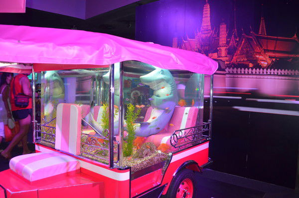 Олеся Качалова