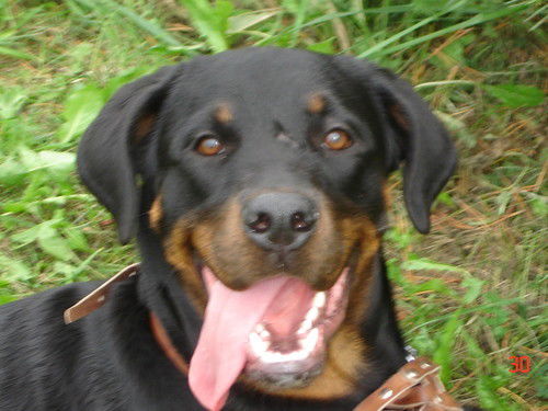 Ксения Гейнц