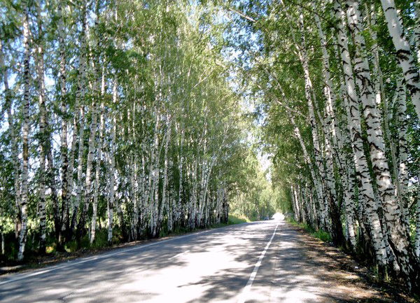 Георгий Шульцев