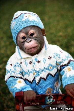 Роман Головин