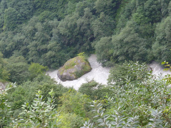 Вера Ельникова