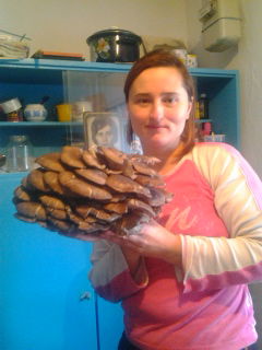 Галина Коломиец