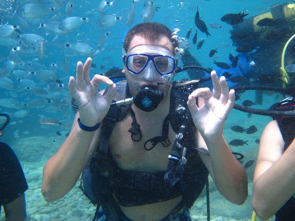 Александр Колесников