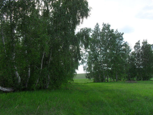 Татьяна Каймакова