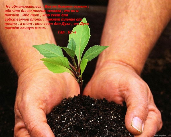 Евгений Емельянов