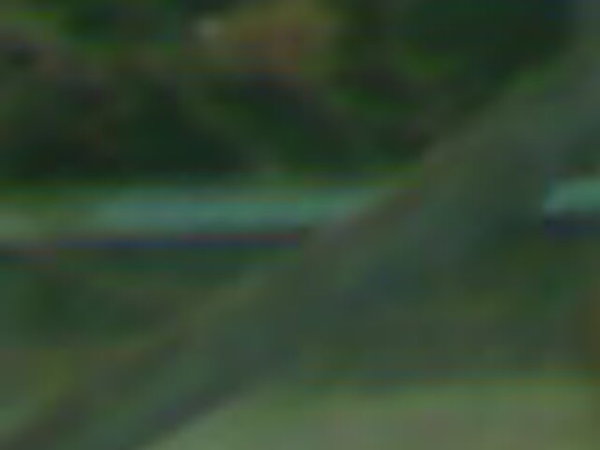 Асылхан Молдашев