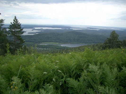 Тоо Инженерные Изыскания И К