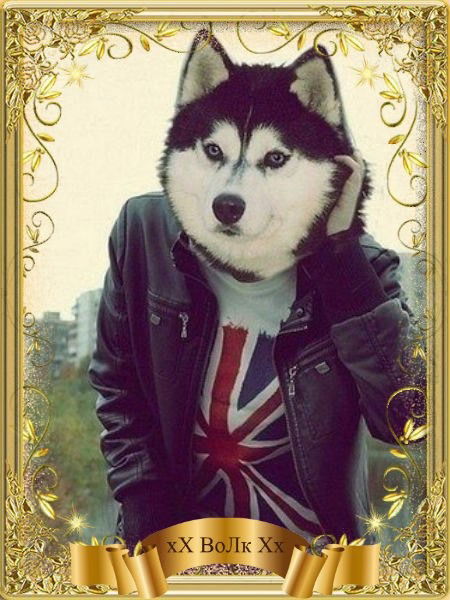 Женя Кузьменко