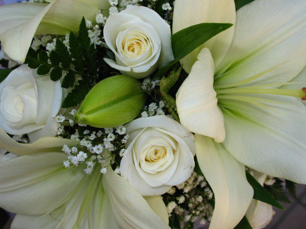 Антонина Черникова