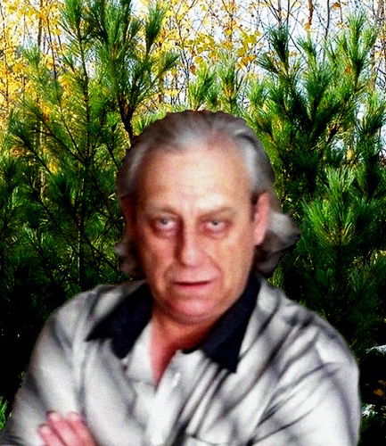 Владимир Карасёв