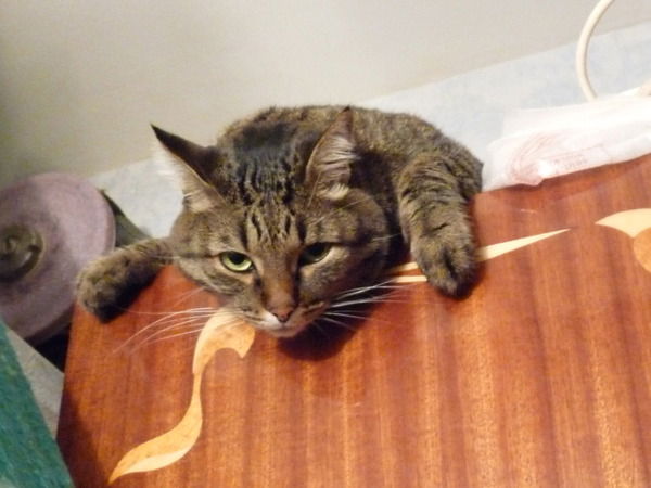 Василий Рудяк