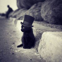 Леша Моряков