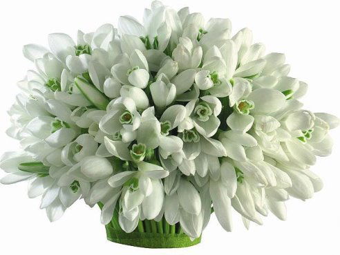 Марина Головастая