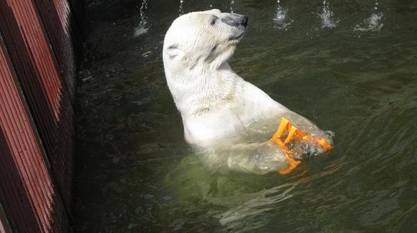 Георгий Ходжамирян