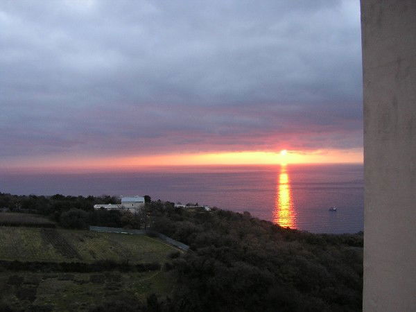 Наташа Шмигельская