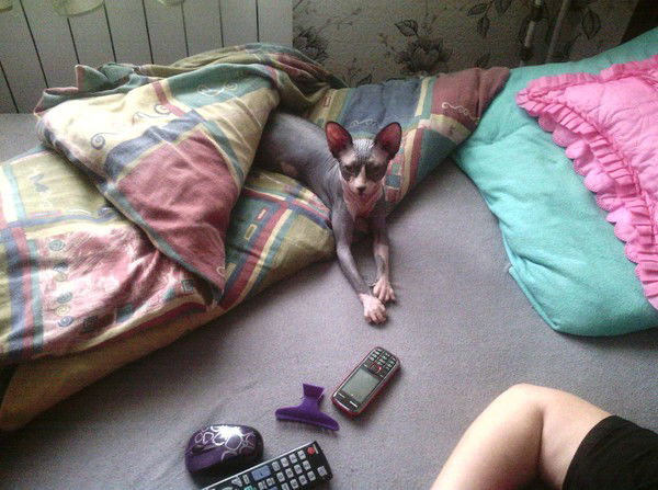 Сергей Прохоров