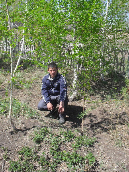 Алексей Балуев