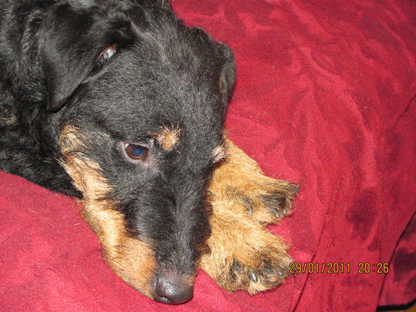 Юрий Казаков