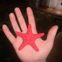 Андрей Коровин