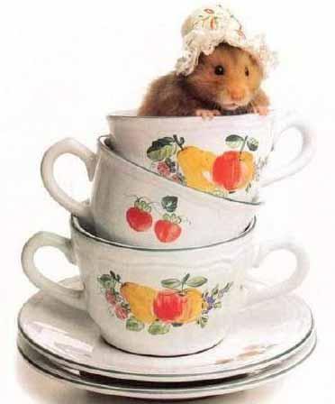 Юлия Тихонова