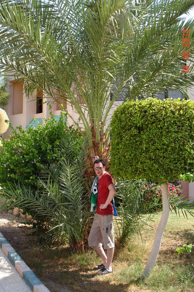 Денис Артемьев