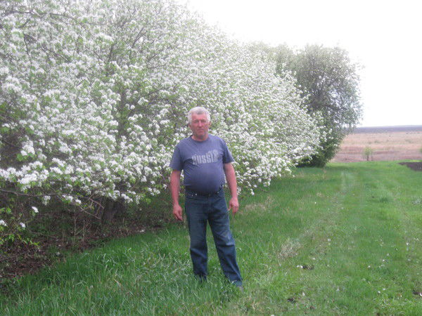 Александр Мышастый