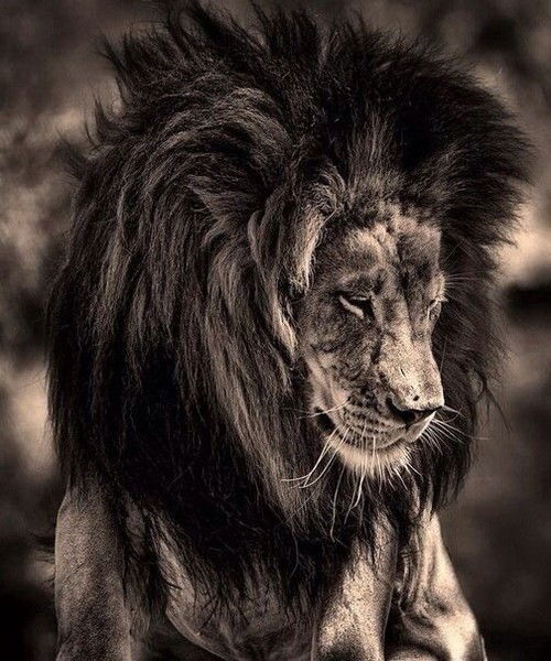 Артур Авакян