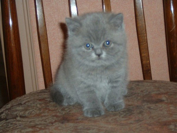 Ульяна Хотько