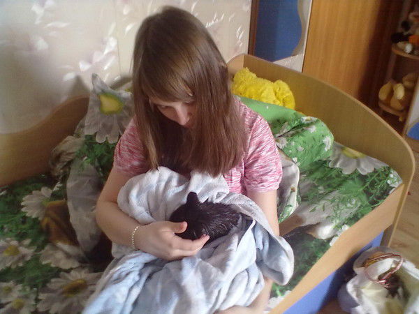 Елена Симоненко