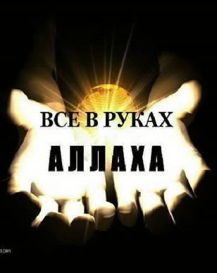 Куштар Арапбаев