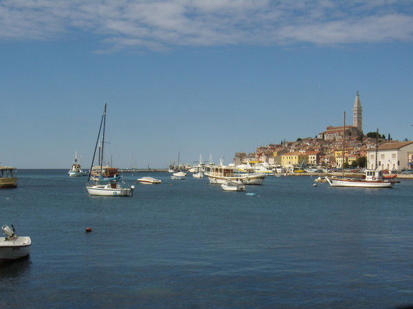 Елена Подольская