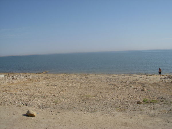 Виталий Ким