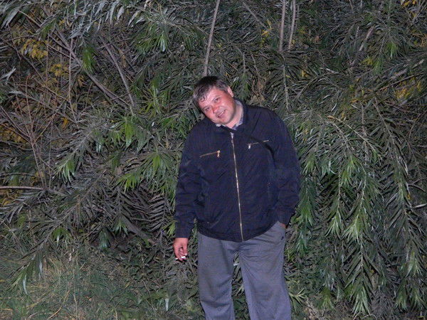 Сергей Плотников