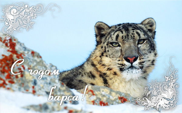 Нагимаш Байкенова