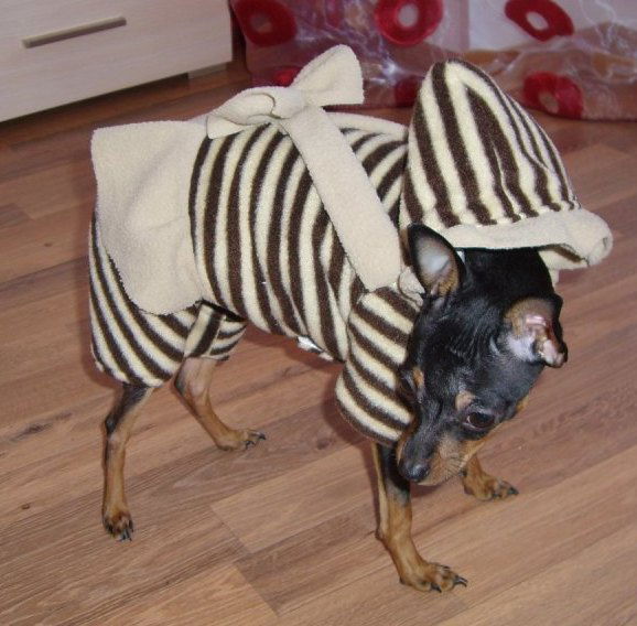 Климов Виктор