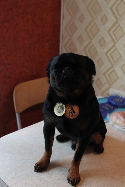 Игнатюк Владимир Ильич