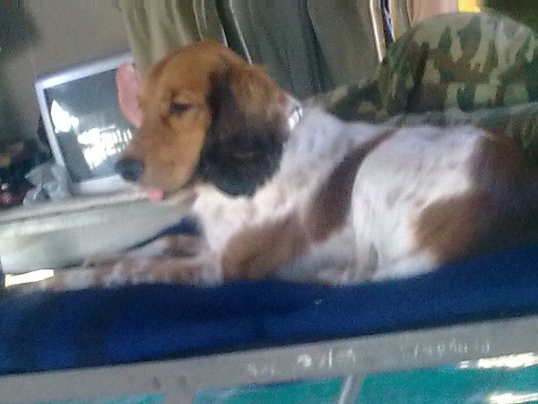 Влад Сидоров