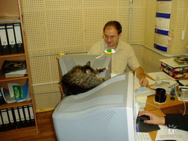 Александр Ковалюк