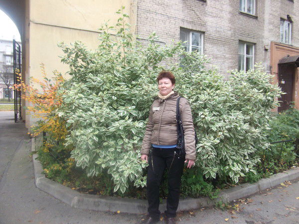 Евгения Сафронова