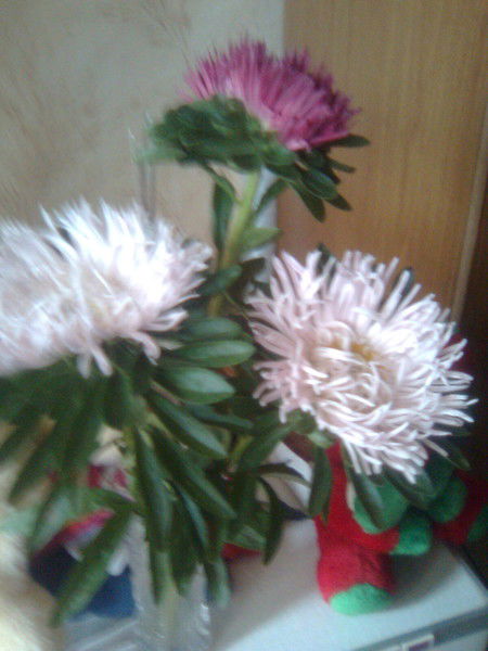 Татьяна Андронова