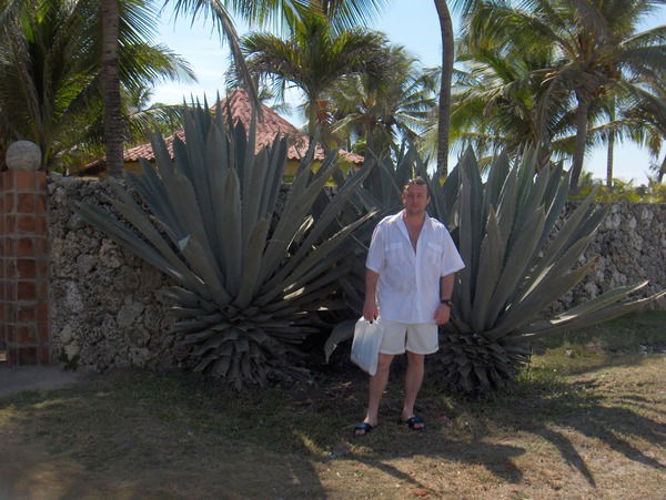 Олег Струсевич