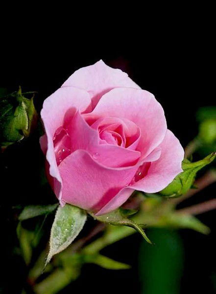 Татьяна Татьяна